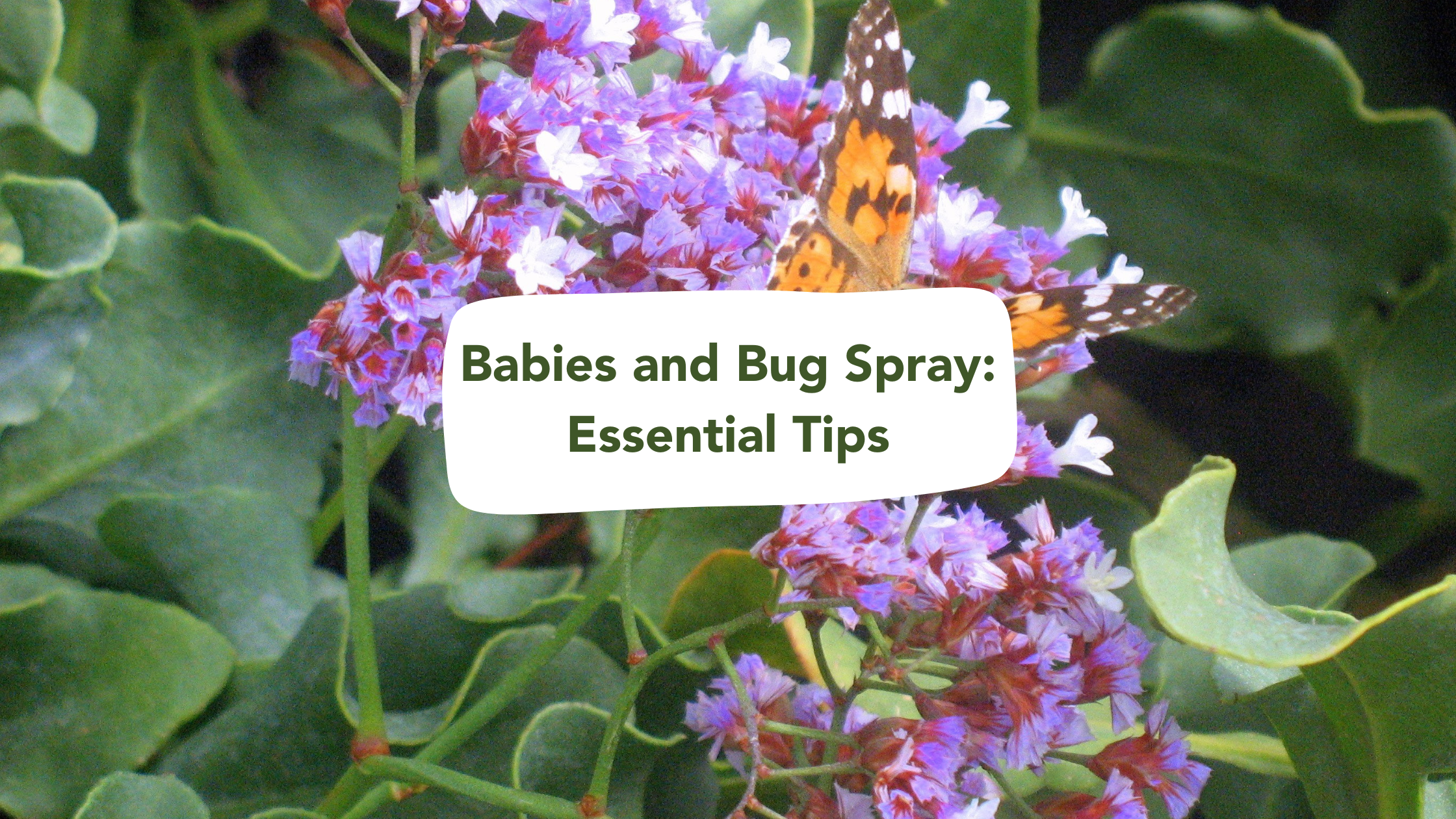 Essential Tips for Using Bug Spray on Babies: Keeping Your Little One ...